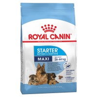 ROYAL CANIN MAXI STARTER 15kg